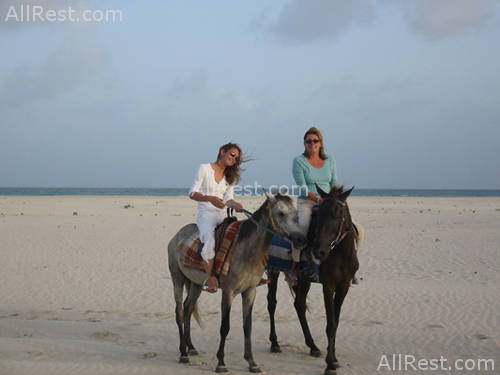 The Beach House Barbuda 24